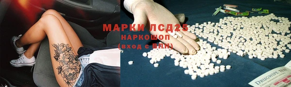 шишки Богородицк