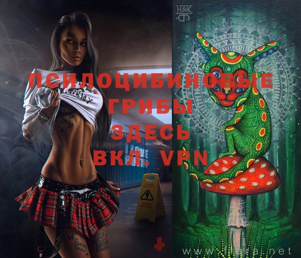 шишки Богородицк