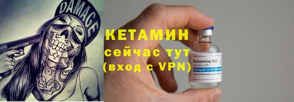 шишки Богородицк
