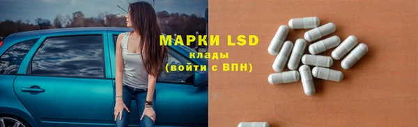 шишки Богородицк