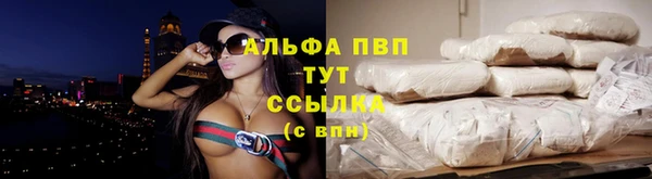 шишки Богородицк