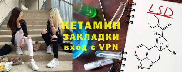 шишки Богородицк